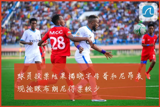 球员投票结果揭晓字母哥和尼昂表现抢眼布朗尼得票较少
