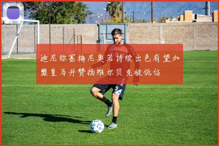 迪尼称塞梅尼奥若持续出色有望加盟皇马并赞扬维尔贝克被低估