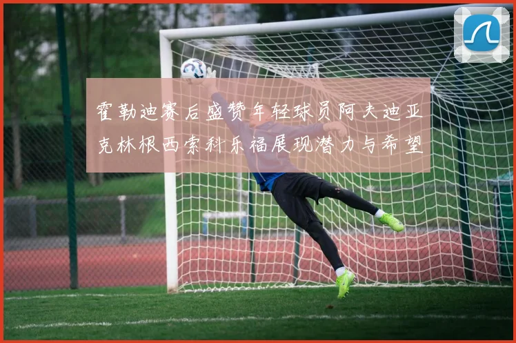 霍勒迪赛后盛赞年轻球员阿夫迪亚克林根西索科乐福展现潜力与希望