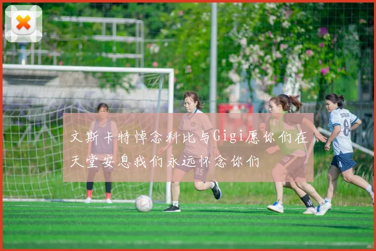 文斯卡特悼念科比与Gigi愿你们在天堂安息我们永远怀念你们